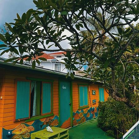 San Andres Scuba Boutique Campestre 호텔 외부 사진