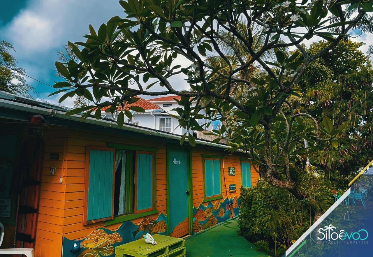 San Andres Scuba Boutique Campestre 호텔 외부 사진