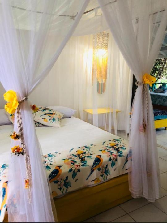 San Andres Scuba Boutique Campestre 호텔 외부 사진